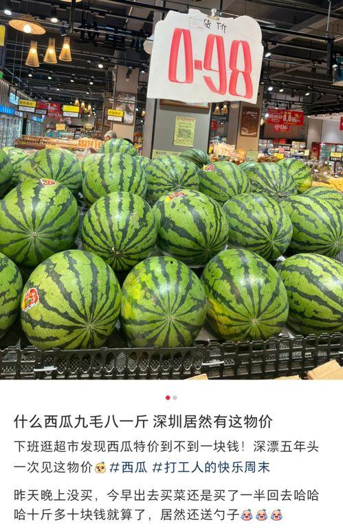 大瓜吃瓜的视频大全