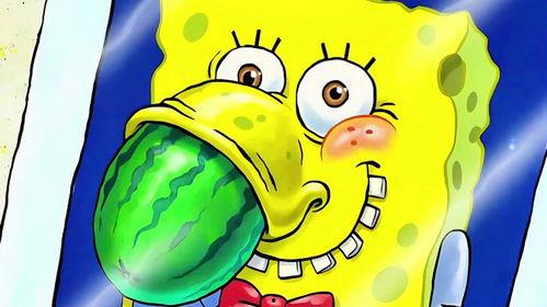 吃瓜的海绵宝宝,揭秘海洋公园的神秘生活