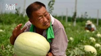 邢台最新吃瓜事件视频,视频揭秘惊人真相