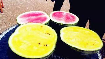 国内吃瓜爆料,吃瓜爆料背后的真相与内幕