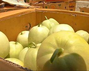 丰收瓜芯可以吃吗,揭秘可食用之谜