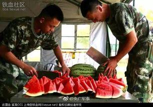 兵爷爷吃瓜群众,一场别开生面的夏日盛宴