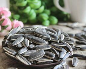 吃瓜吃瓜子,揭秘吃瓜吃瓜子的趣味时光