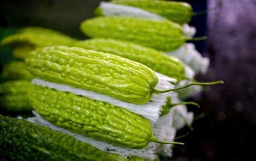 吃瓜嘴恶心咋回事,揭秘“吃瓜嘴恶心”现象背后的心理与社会因素