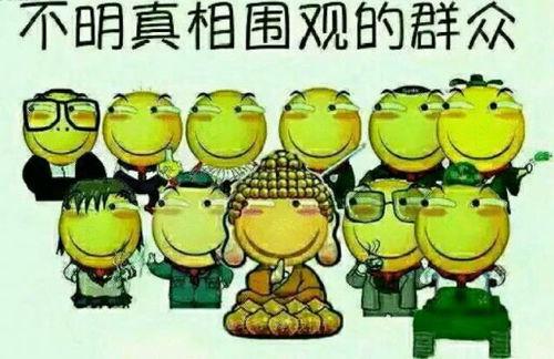 青蛙当吃瓜群众,围观人间百态，笑谈世间万象