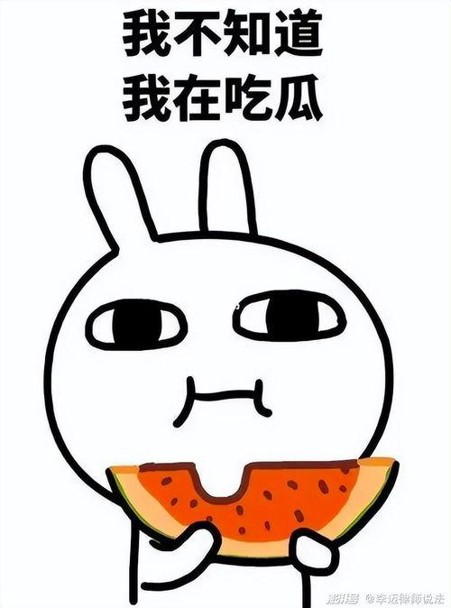 辉小辉吃瓜,揭秘娱乐圈那些不为人知的幕后故事