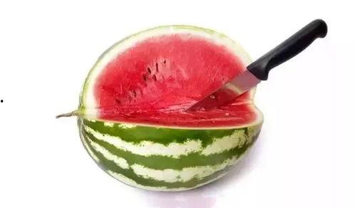 专吃高端瓜,揭秘专吃高端瓜的传奇故事