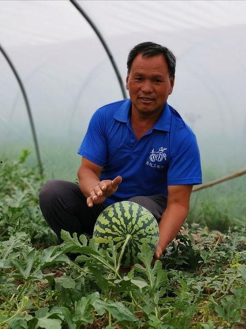 商丘最新吃瓜,一网打尽街头巷尾新鲜事