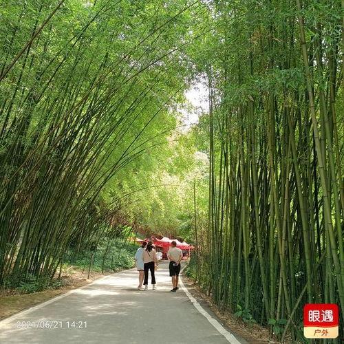 商丘最新吃瓜,一网打尽街头巷尾新鲜事