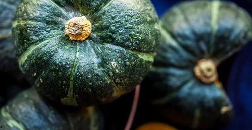 谁吃贝贝瓜,揭秘谁在品尝这份甜蜜诱惑