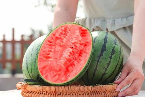 县医院吃瓜,揭秘背后的真相与反思