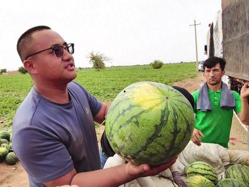 南昌最近吃瓜新闻