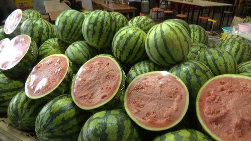 太和两小孩吃瓜