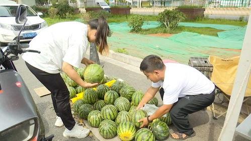 太和两小孩吃瓜