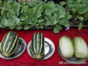 上台吃瓜,揭秘娱乐圈的幕后故事