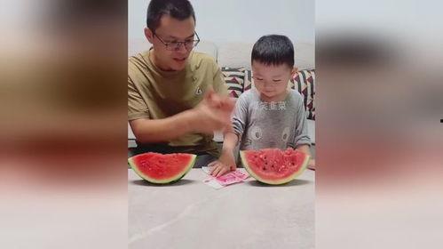 父子吃瓜比赛,吃瓜大赛欢乐无限