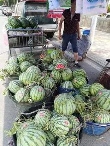 东营垦利吃瓜事件,一场引发热议的街头冲突