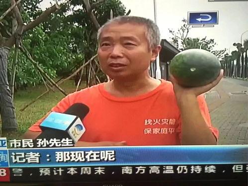 2019吃瓜热门事件,揭秘娱乐圈风云变幻