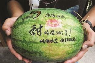 红色景点吃瓜,探寻革命老区的美食记忆