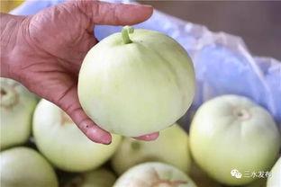 红色景点吃瓜,探寻革命老区的美食记忆