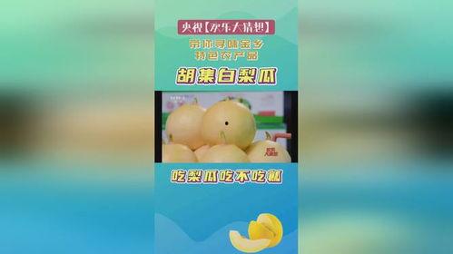 金乡县吃瓜语音,方言魅力与地方风情