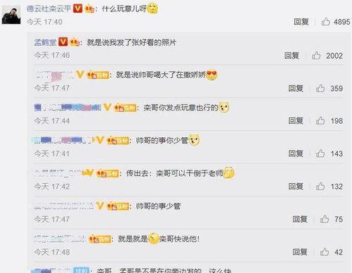 来评论区吃瓜,揭秘网络热议背后的故事