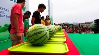 夏天吃瓜群众火了