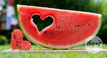 朋友送的瓜怎么吃,朋友赠瓜，教你轻松解锁美味新吃法