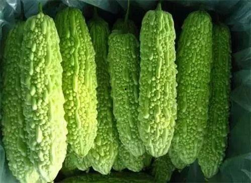 南宁相思湖吃瓜,夏日吃瓜好去处，畅享清凉时光