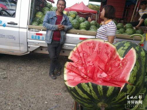 温县吃瓜群众,温县“吃瓜群众”的夏日生活剪影