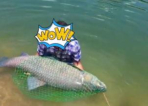 吃瓜鱼儿,揭秘网络热点的幕后故事