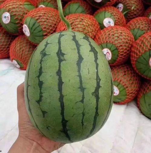 直播困了吃瓜,揭秘直播界的趣味瞬间