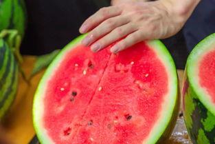 吃瓜大学跳舞,青春活力绽放