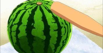 吃瓜必备小手工,跟随吃瓜必备小手工，打造夏日清凉时光