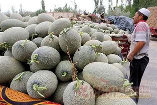 哈密瓜奶油怎么吃,哈密瓜奶油的多重美味吃法探索