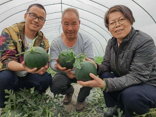 罗德岛的吃瓜群众,吃瓜群众热议，揭秘这座城市的秘密生活
