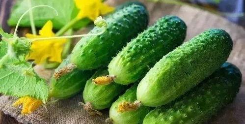 吃瓜2集,揭秘娱乐圈背后的秘密风暴